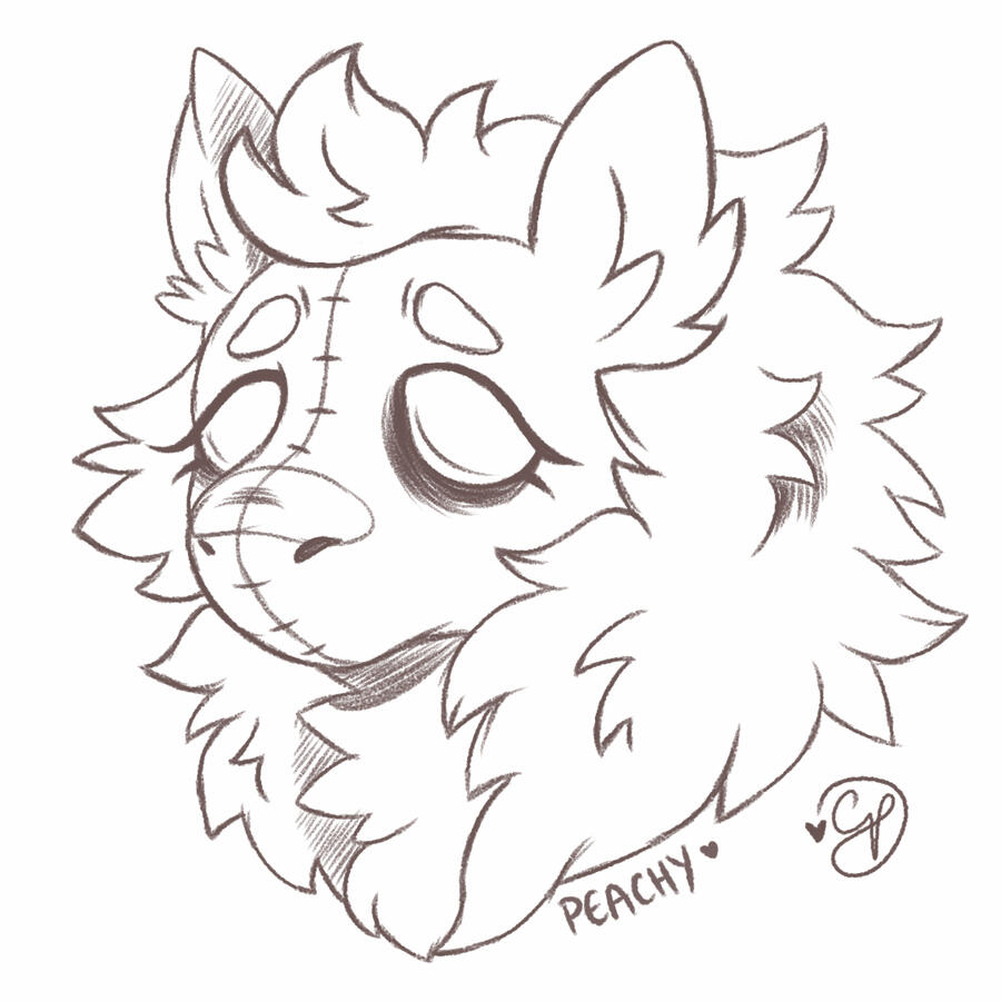 Doodle Sketch